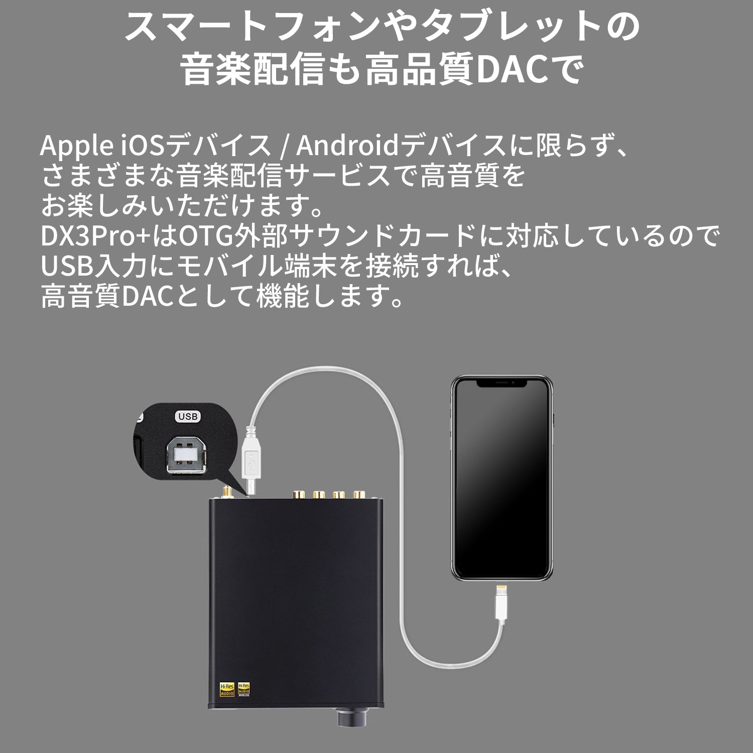 TOPPING DX3Pro+ DAC ヘッドホンアンプ 1年保証付き – オレメカTOPPING店